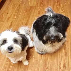 Meet your Posher, Cara