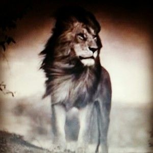 Meet your Posher, Jackson