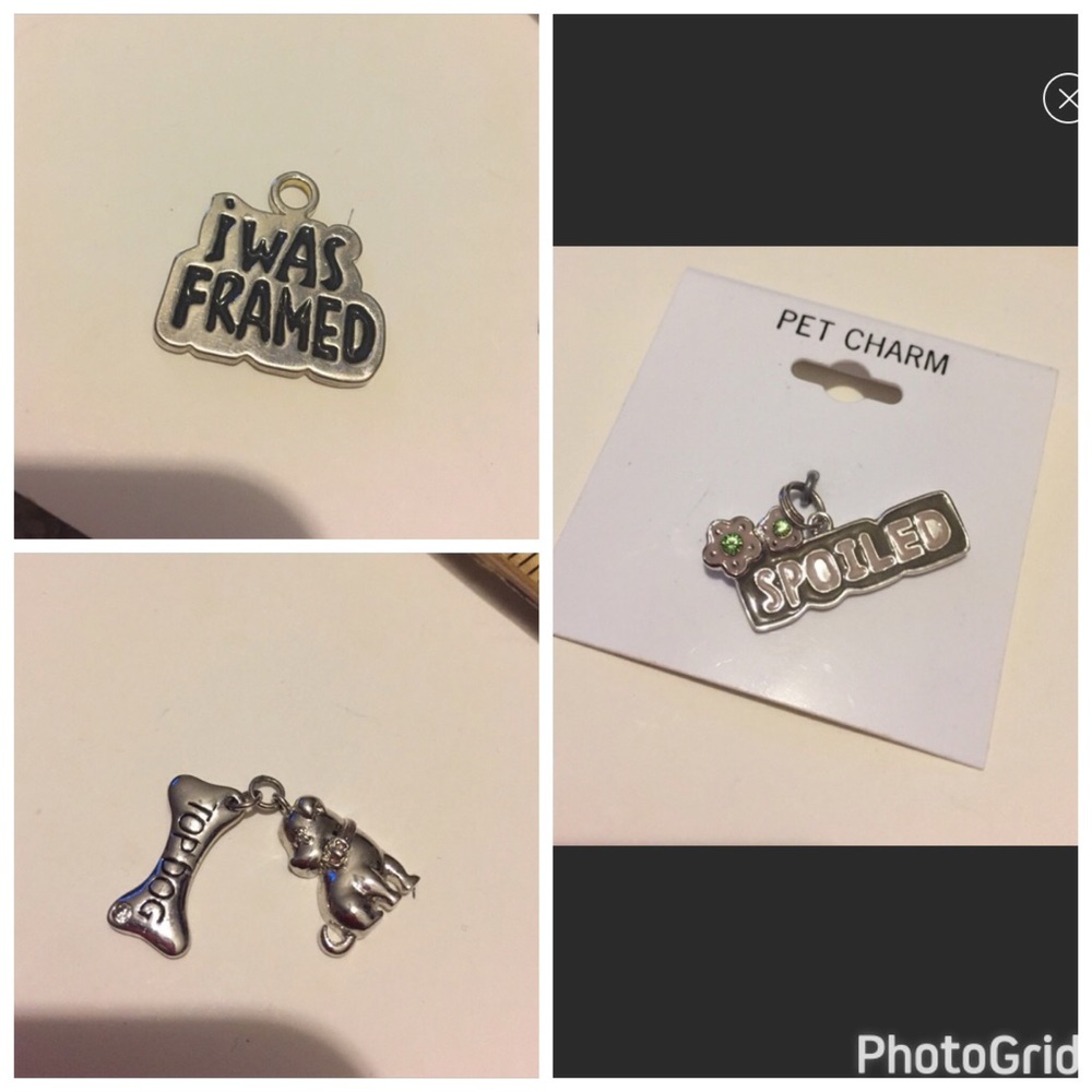 Pet silver charms