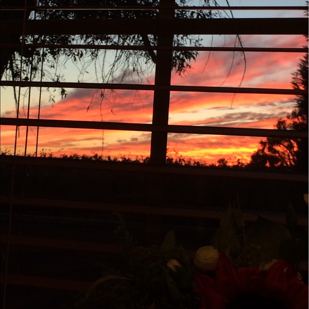 Meet your Posher, Kaley