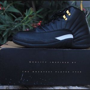 Jordan 12 "Master"