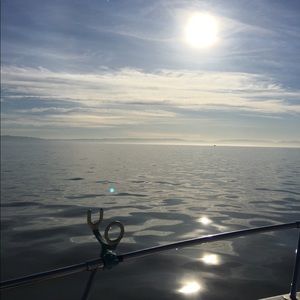 Meet your Posher, Jamel