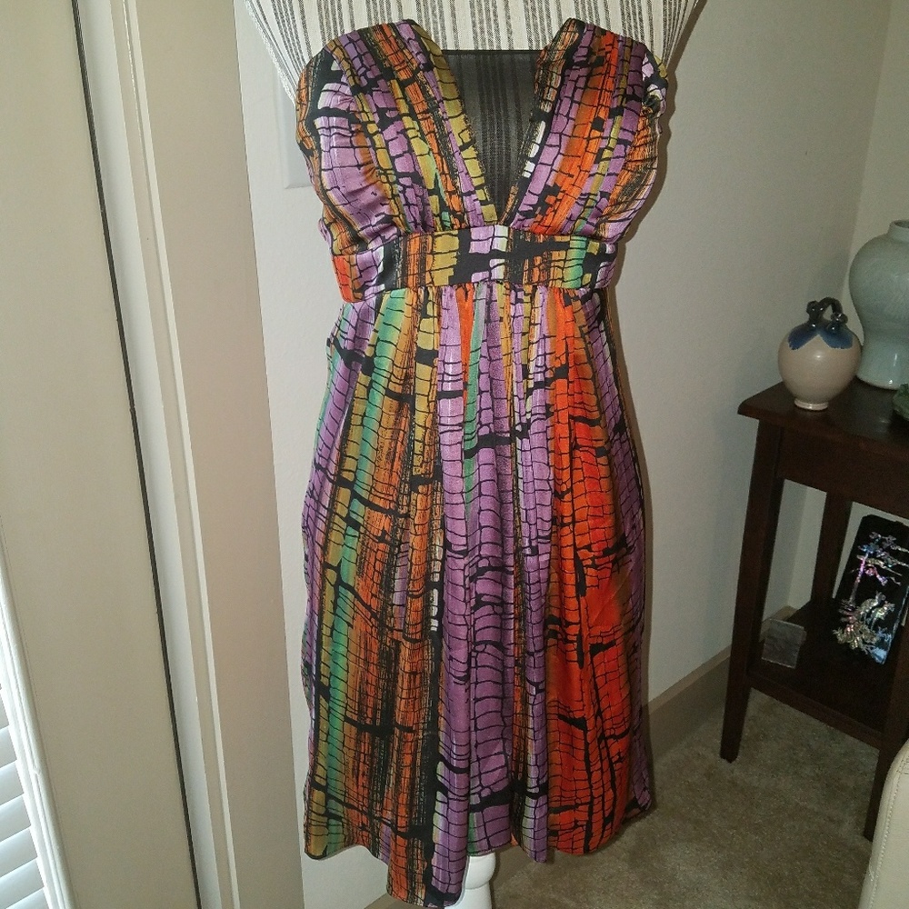 NWT bcbg fashionista dress