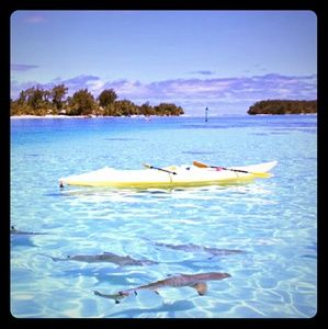 Meet your Posher, Cassandra