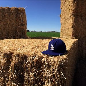 Meet your Posher, Freddy