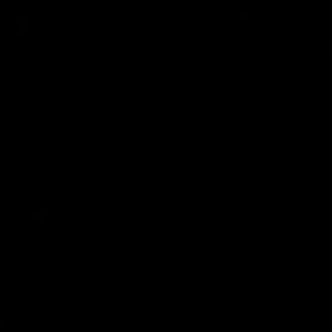 Meet your Posher, Sammie