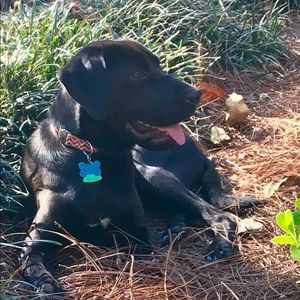 Meet your Posher, Sharon