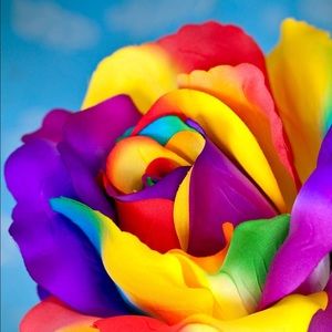 Meet your Posher, Sherry