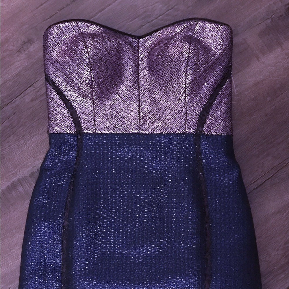 Strapless Phoebe Dress