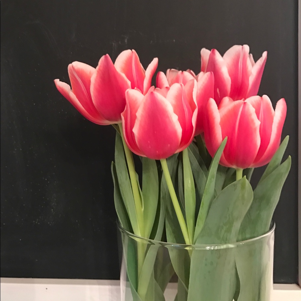 Meet your Posher, Christine