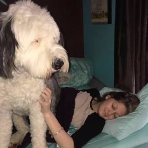 Meet your Posher, Camber