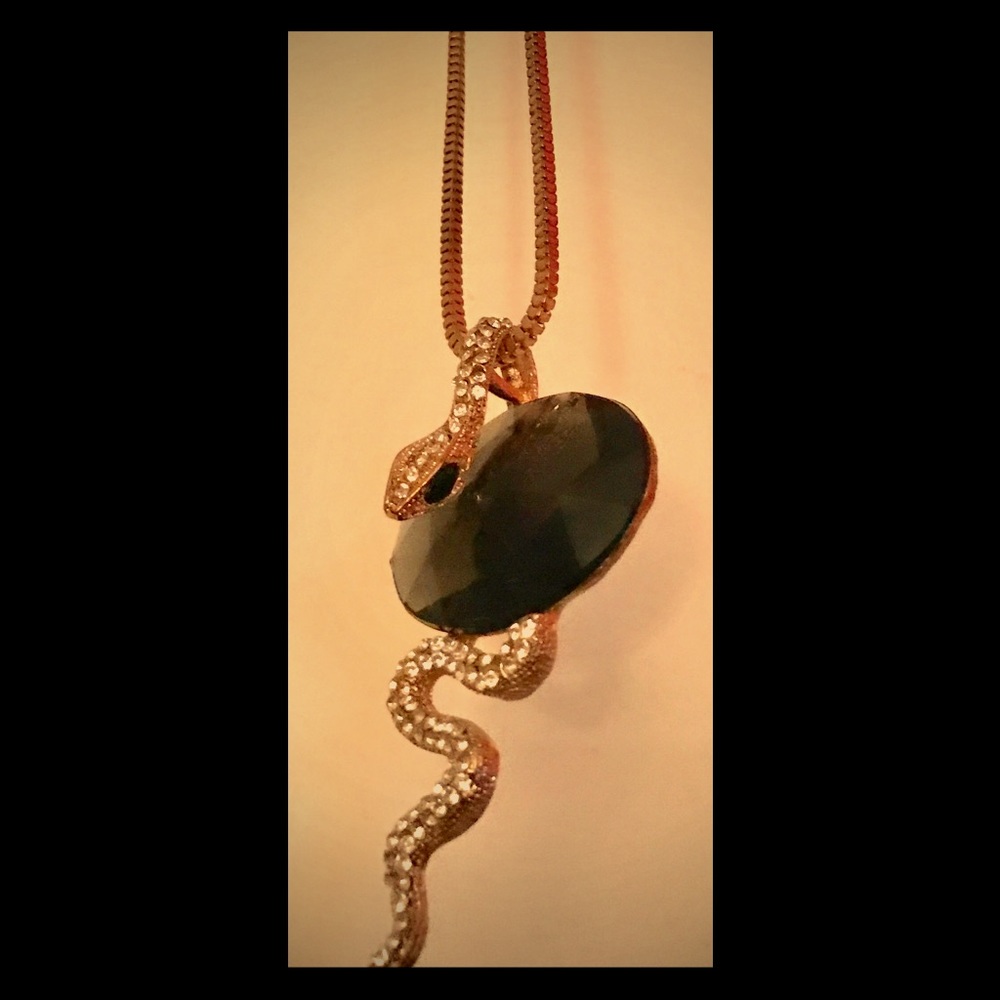 Snake charm necklace