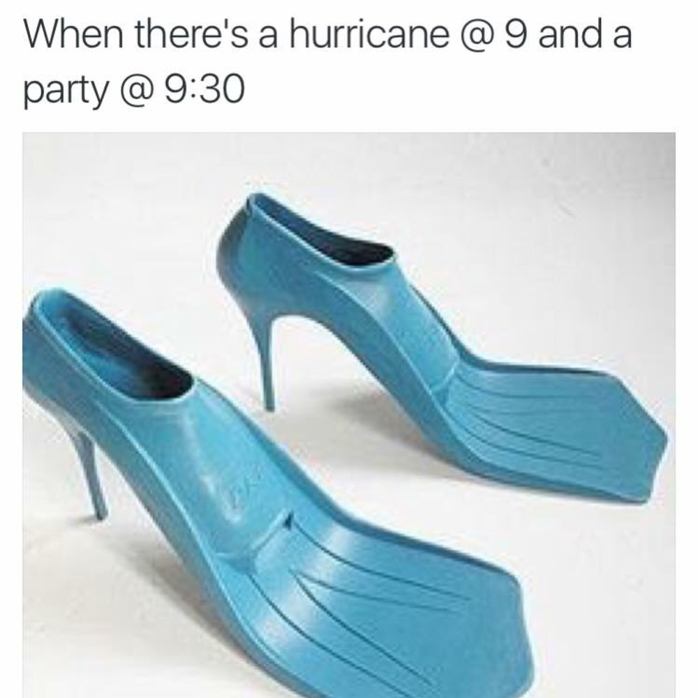 Meet your Posher, Maggie