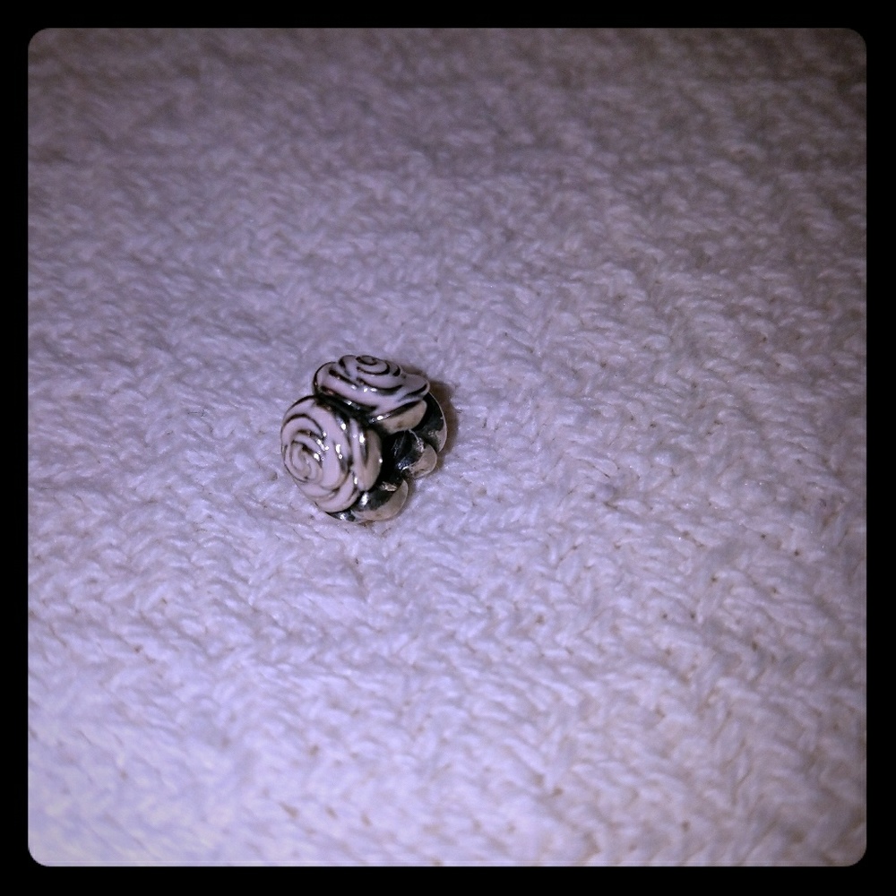 Pandora charm