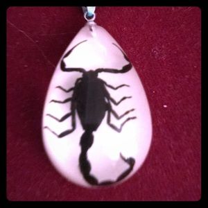 Original Scorpion preserved in necklace