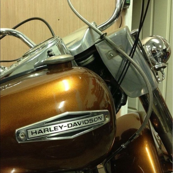 Meet your Posher, Kelly - Picture 1 of 1