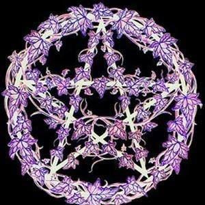 Meet your Posher, Shelley