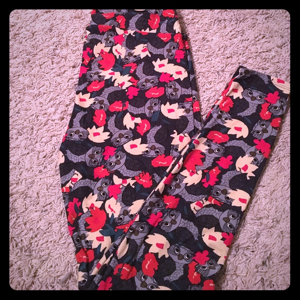 Lularoe owl 🦉 leggings