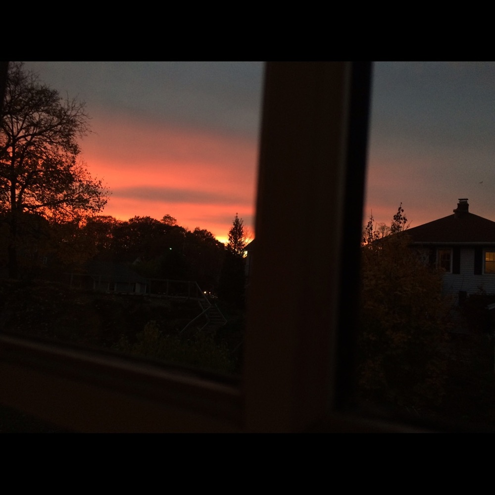 Meet your Posher, Hayden