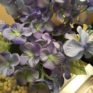 Meet your Posher, Diane