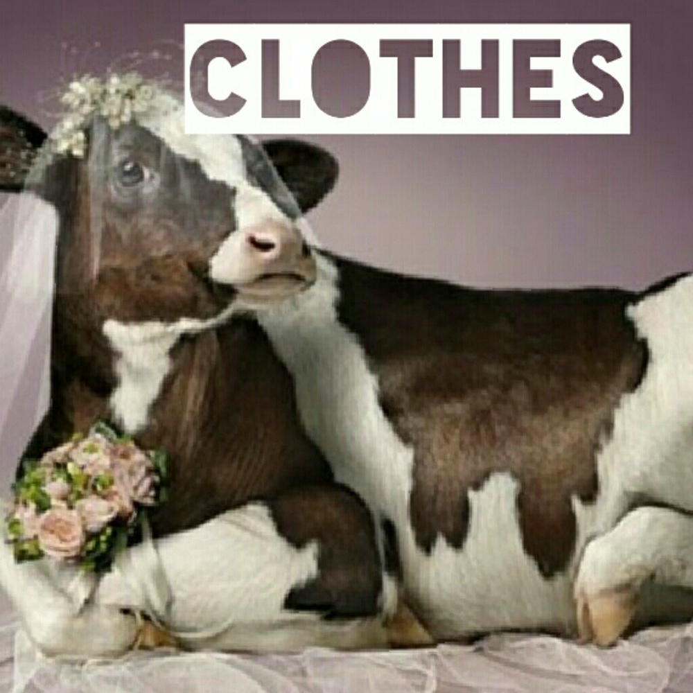 Clothes Accessories...Jewelry down below
