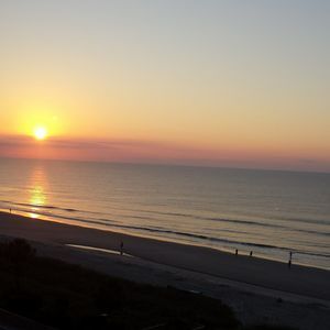 Meet your Posher, Suzanne