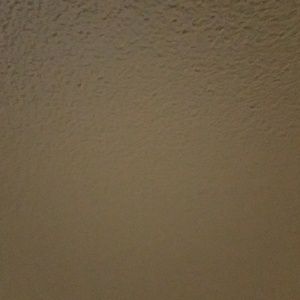 Meet your Posher, Tonya