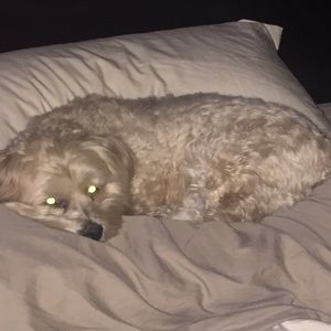 Meet your Posher, April