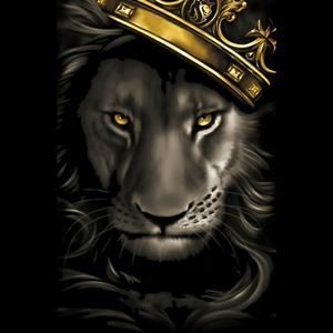 Meet your Posher, T-bone