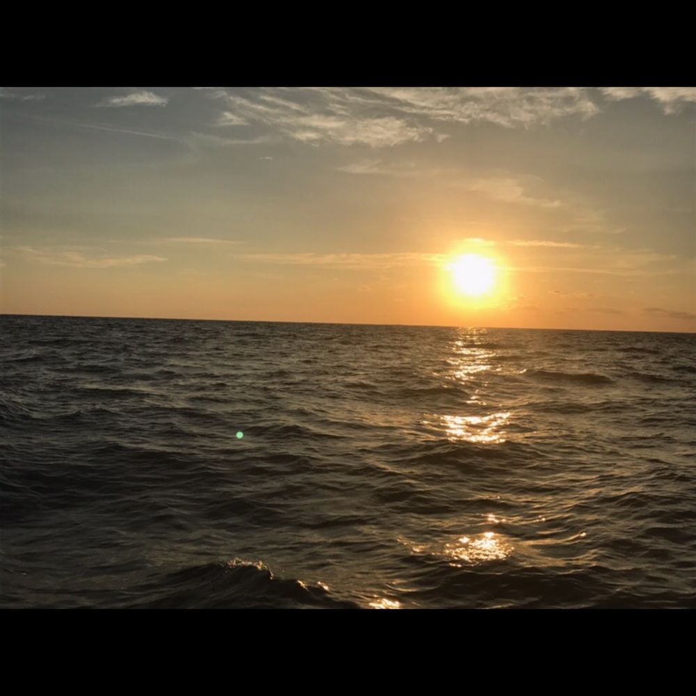 Meet your Posher, Marsha