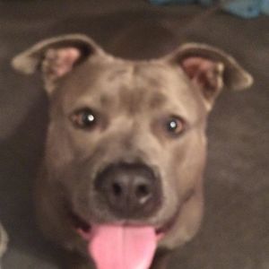 Meet your Posher, Anneliese