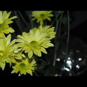 Meet your Posher, Ruth