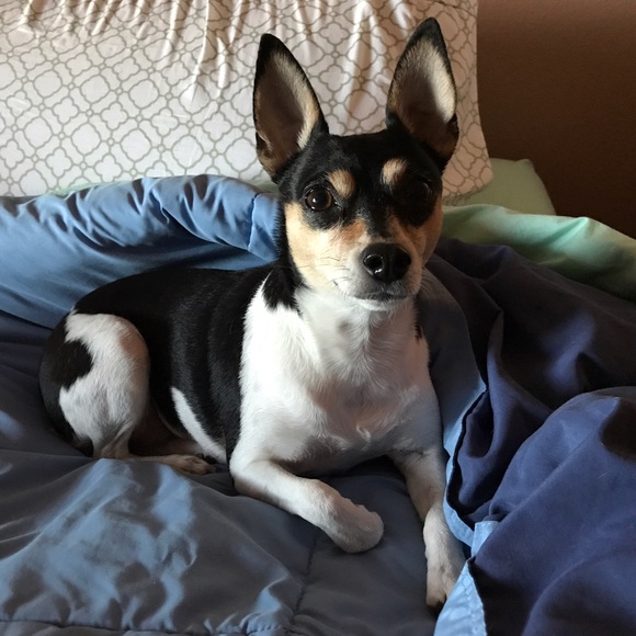 Meet your Posher, Emily - Picture 2 of 3