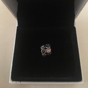 pandora charm