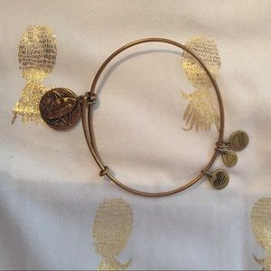 Alex and Ani Rowan bangle