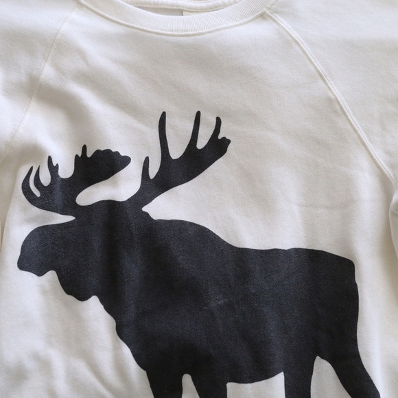 Abercrombie&Fitch logo graphic crew sweatshirt S - Picture 4 of 6