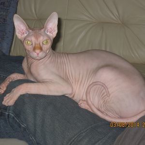 Meet your Posher, Ericka