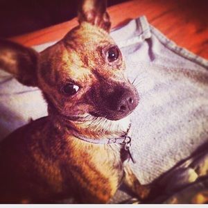 Meet your Posher, Brianna