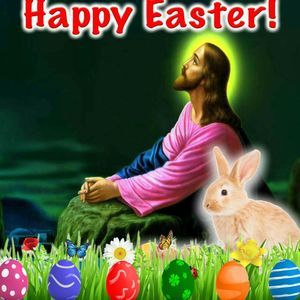 Meet your Posher, Chola