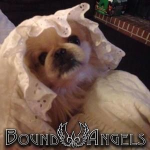 Meet your Posher, Ruth