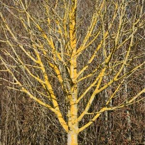 Meet your Posher, Cathy