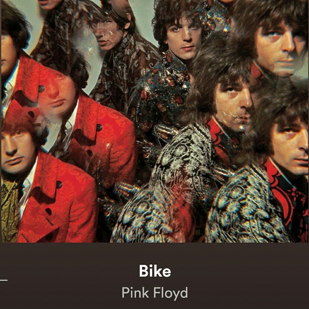 Meet your Posher, Rodney