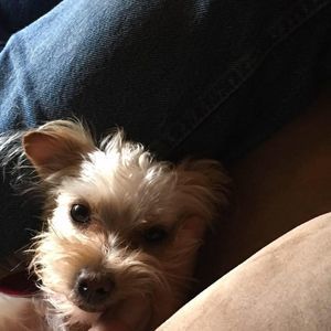 Meet your Posher, Brenda