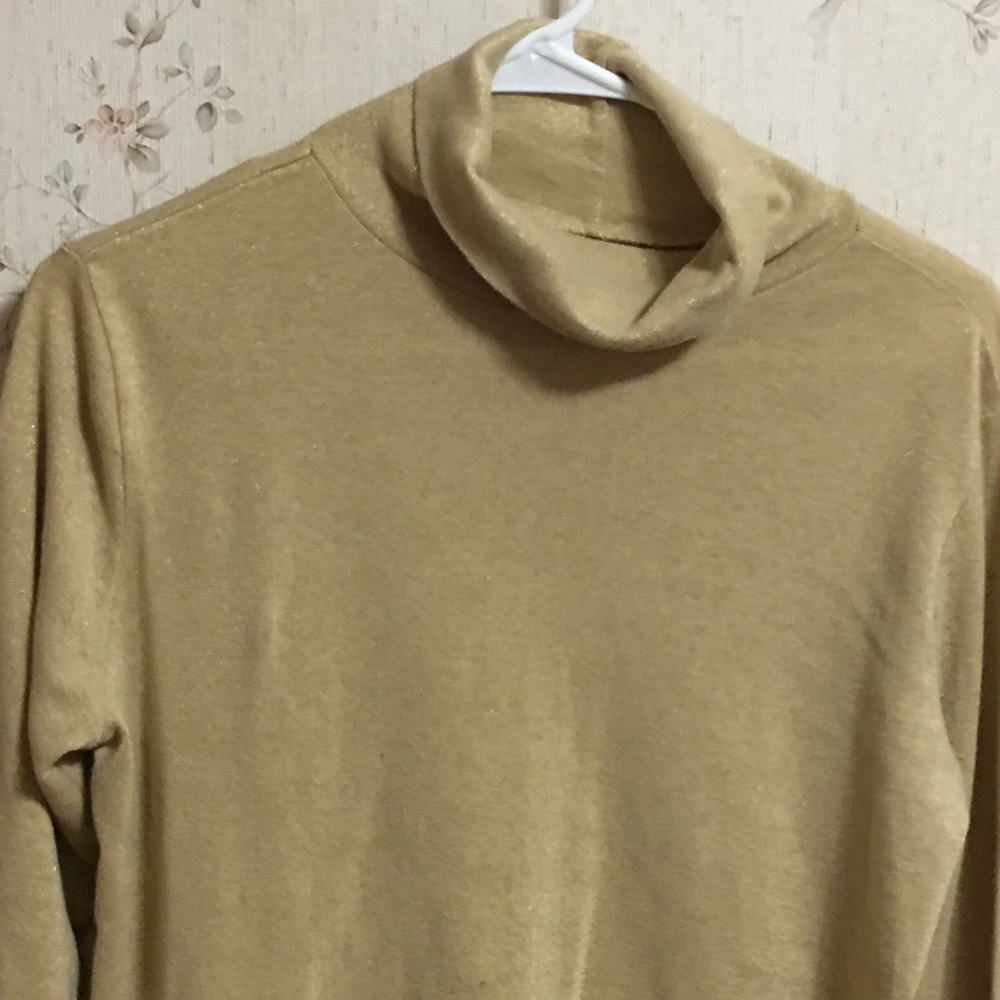 Gold turtle neck. Pet friendly home
