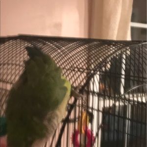 Meet your Posher, Debbie