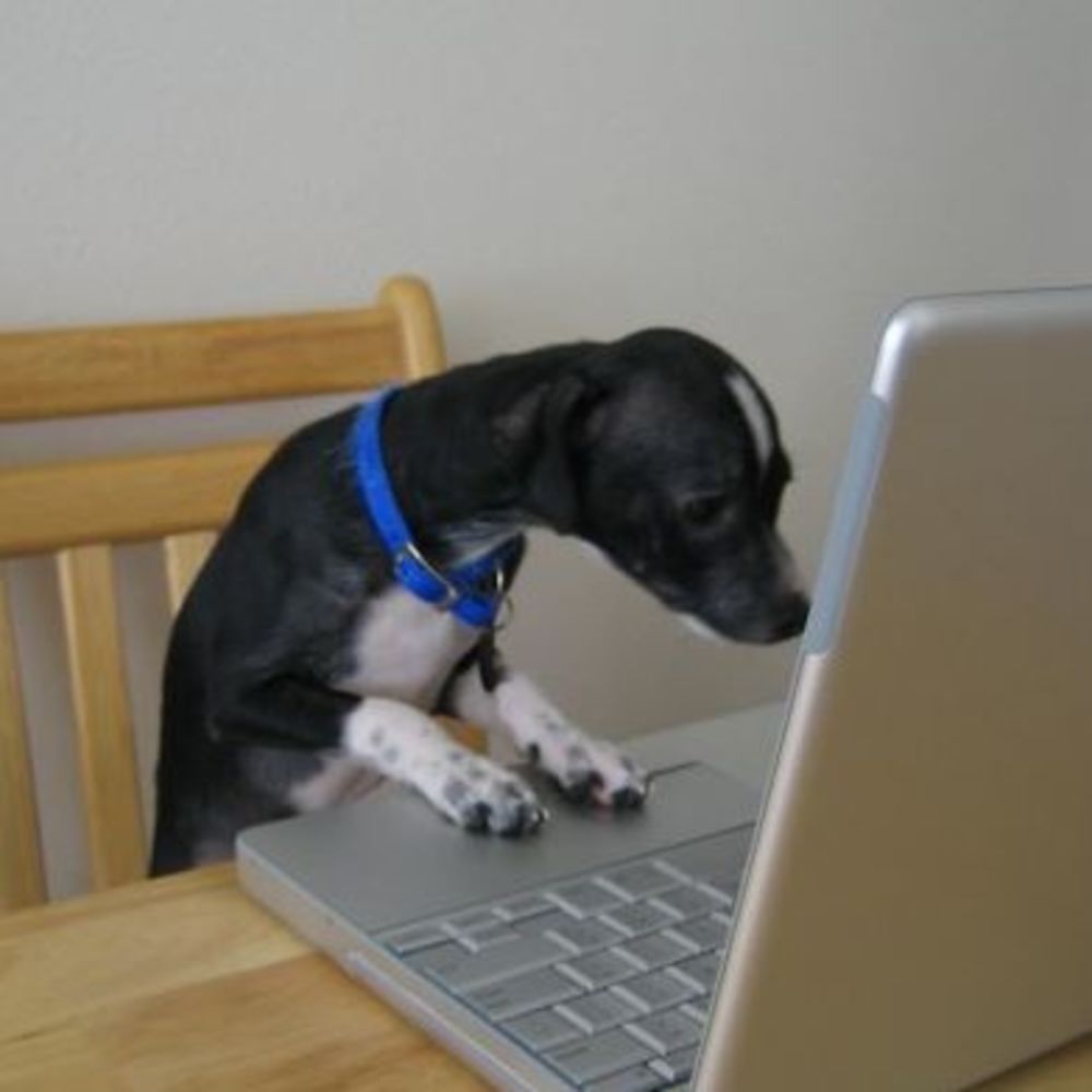 Meet your Posher, Leslie