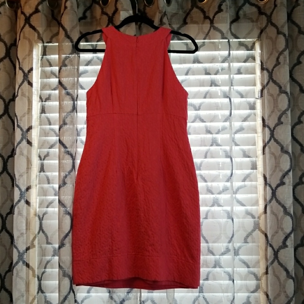 Dress - Picture 6 of 6