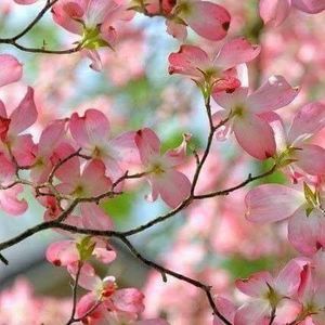 Meet your Posher, Stacia