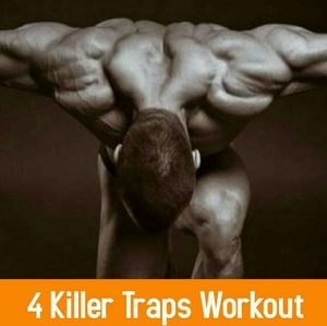 Meet your Posher, Artis