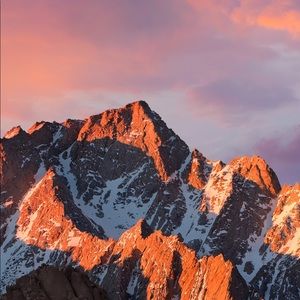 Meet your Posher, Karina